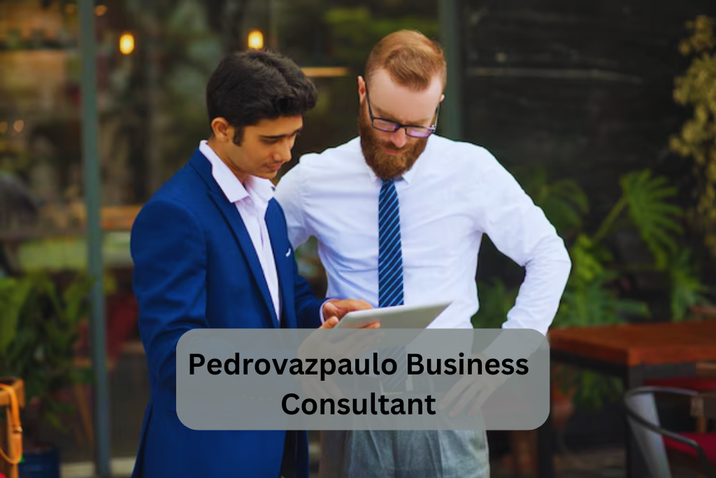 Pedrovazpaulo Business Consultant